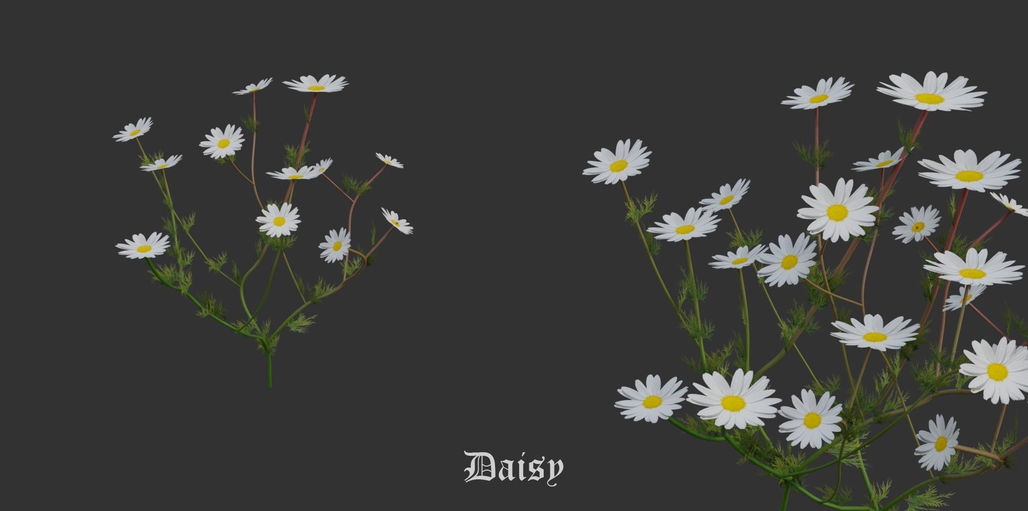 Garden Pack 3D Model Collection_21