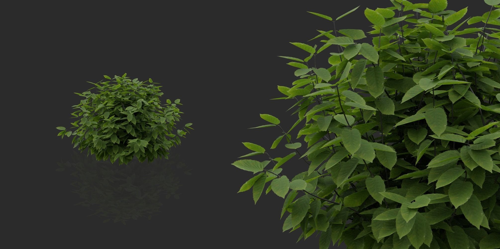 Garden Pack 3D Model Collection_6