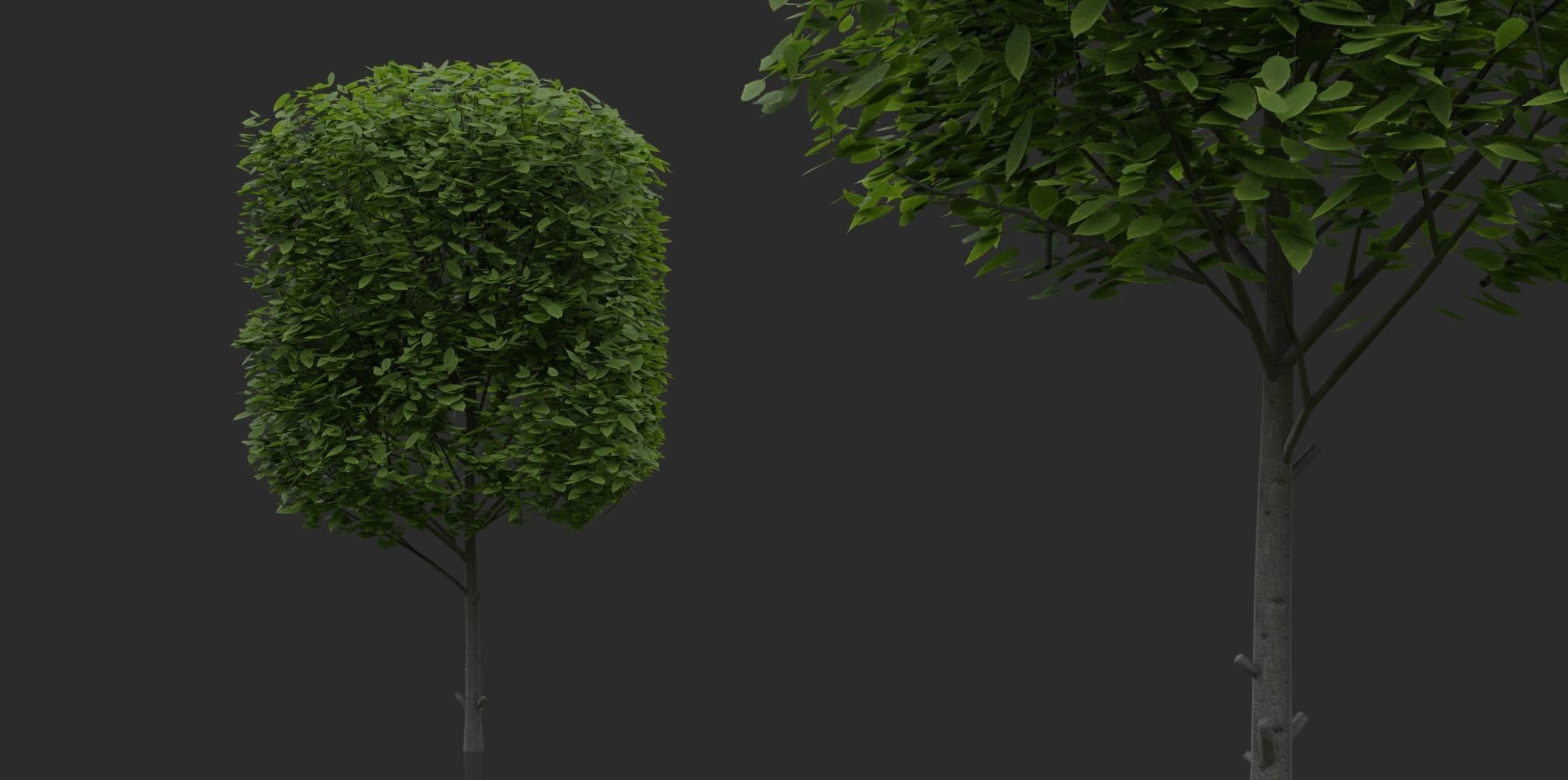 Garden Pack 3D Model Collection_4