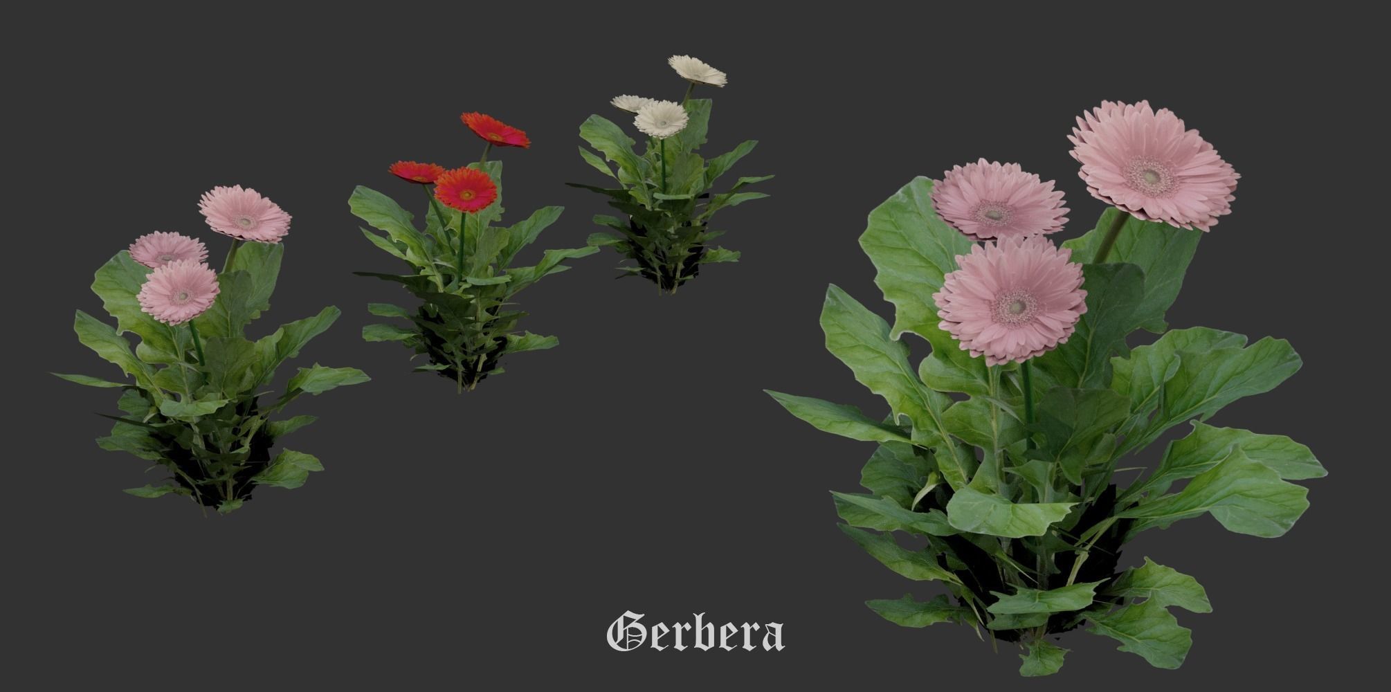 Garden Pack 3D Model Collection_16