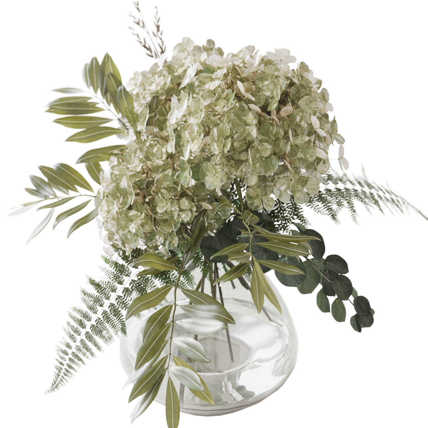 Green Hydrangea 3D model_11