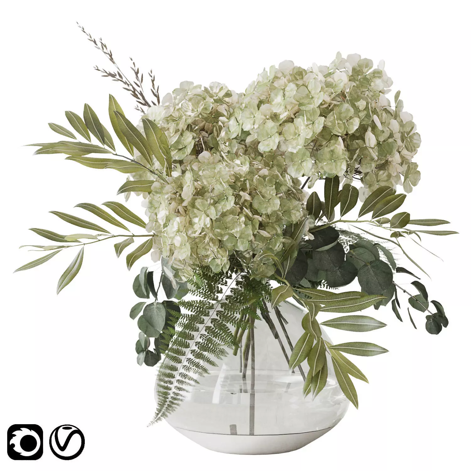 Green Hydrangea 3D model_0