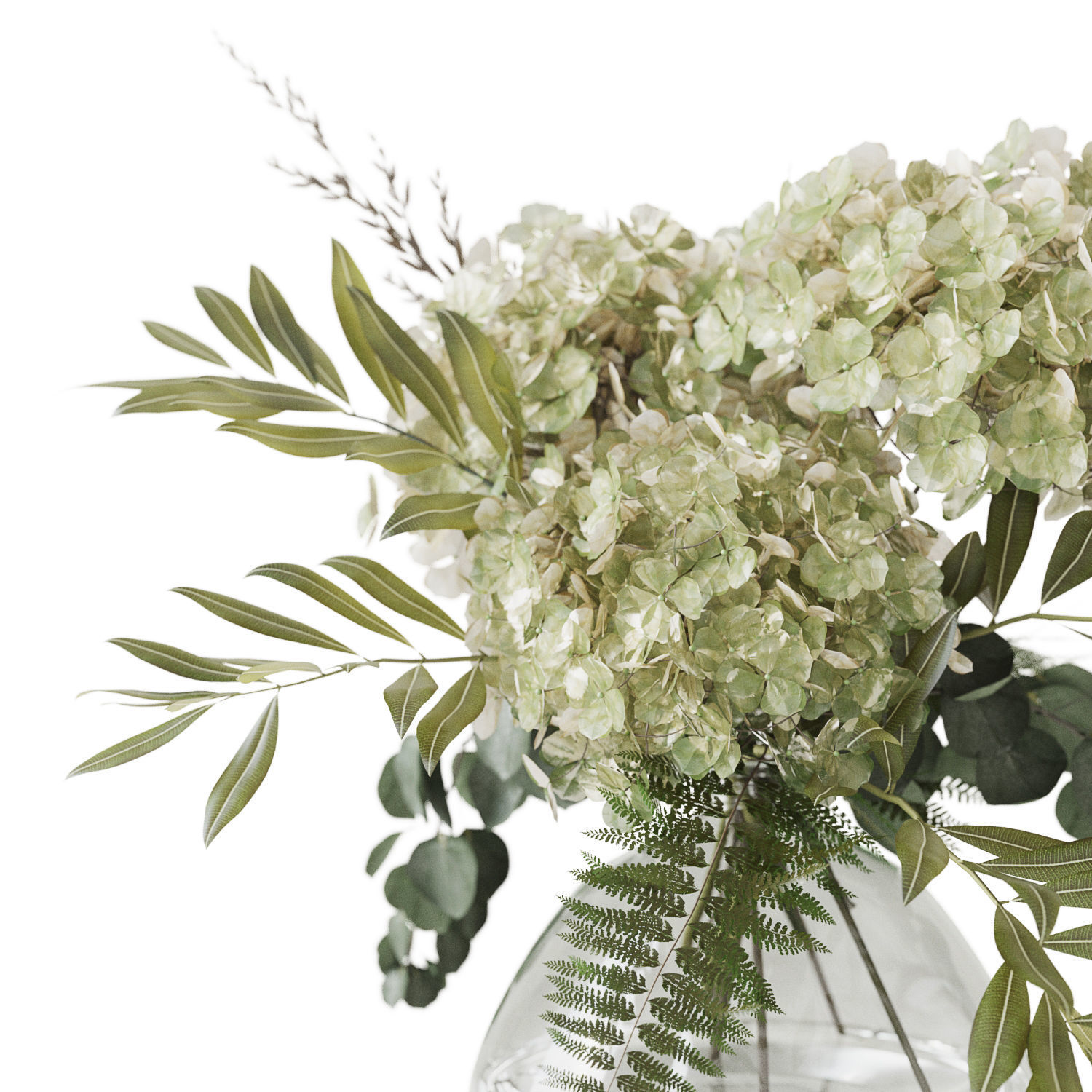 Green Hydrangea 3D model_10
