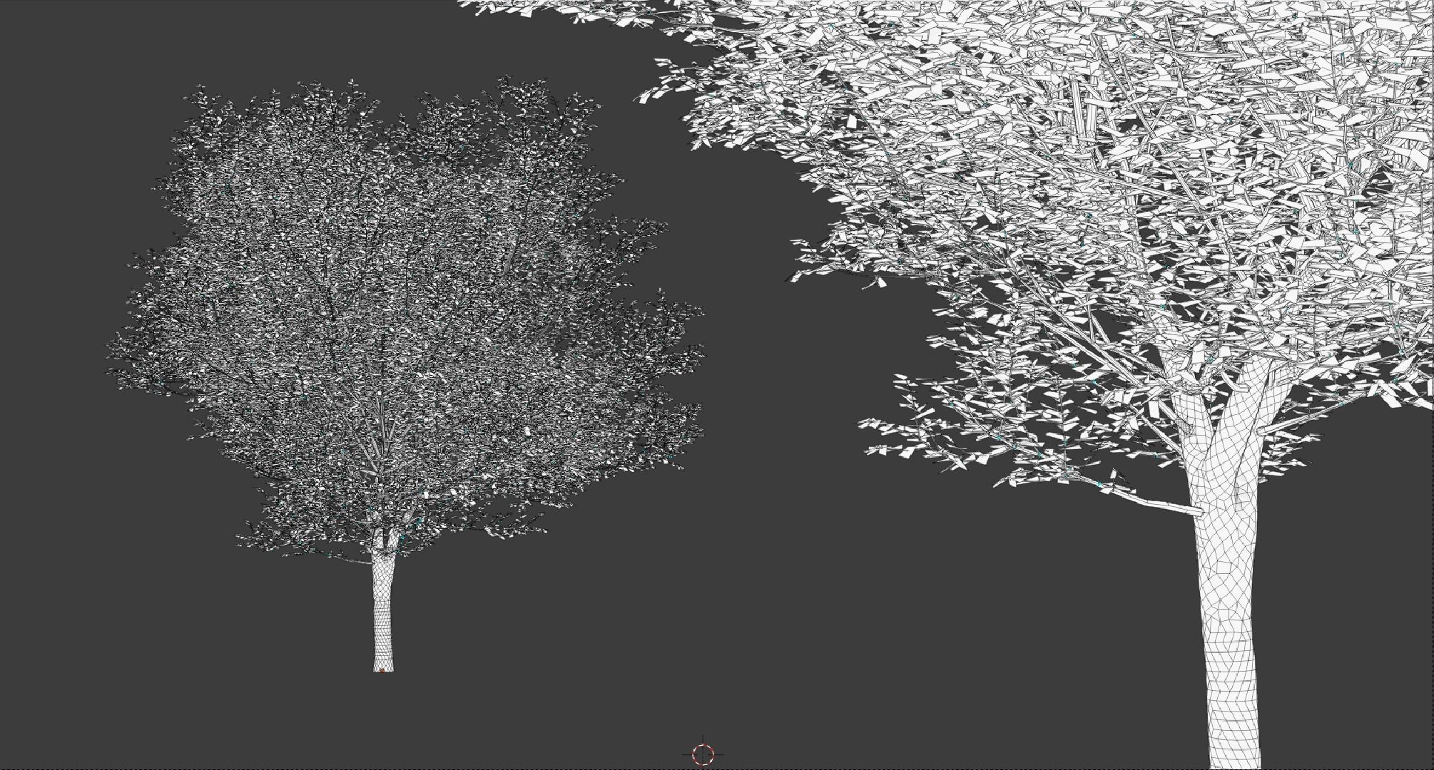 European Hornbeam Trees 3D model_2