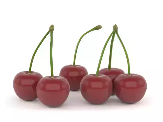 Cherry Fruit 3D model