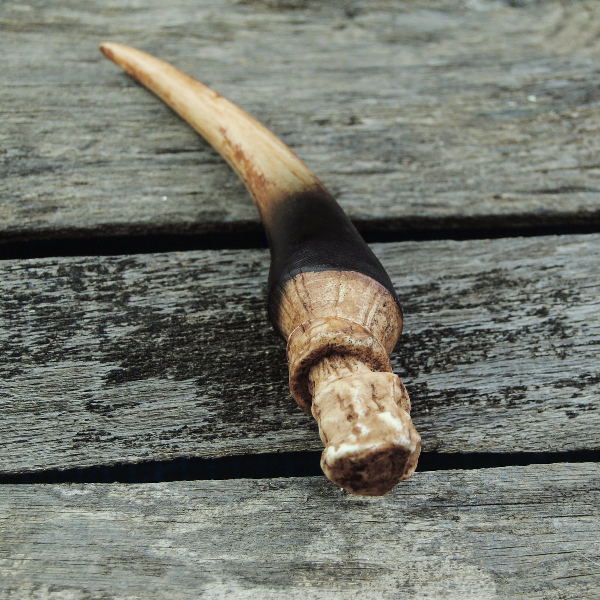 Basilisk Fang - Harry Potter 3D print model_11