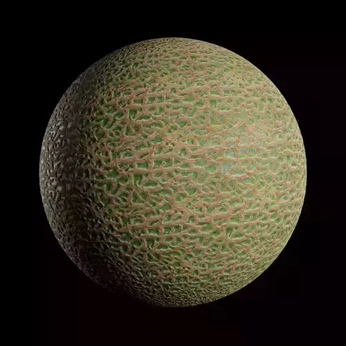 Cantaloupe Texture Texture