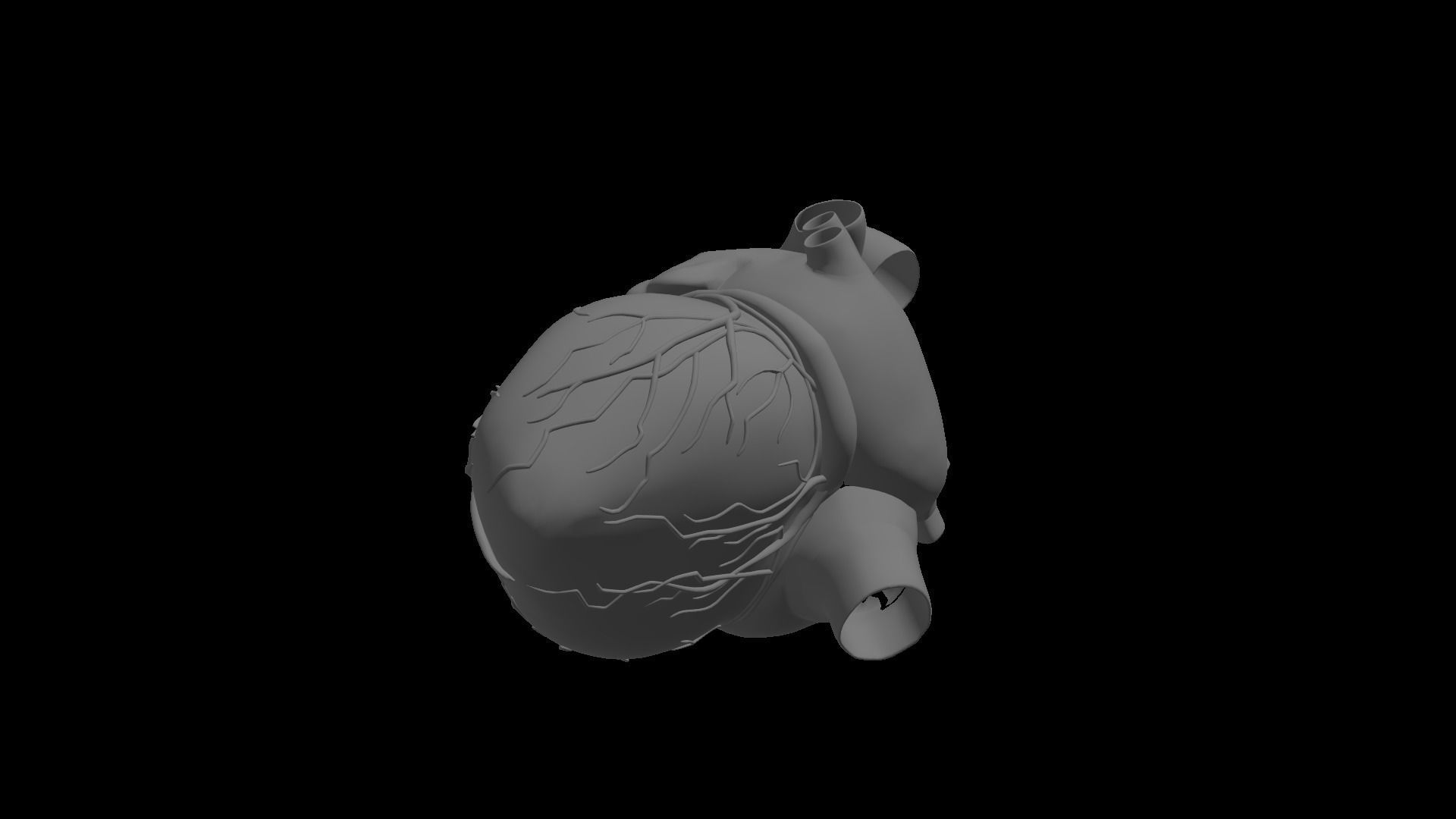 Realistic Human Heart 3D model_4