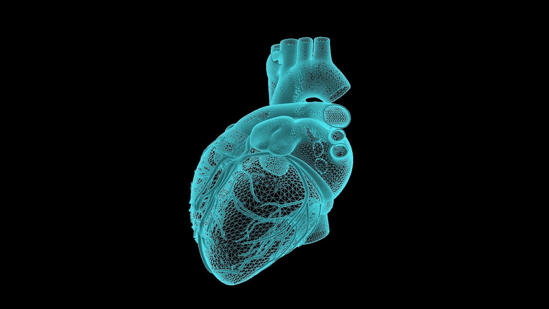 Realistic Human Heart 3D model_1