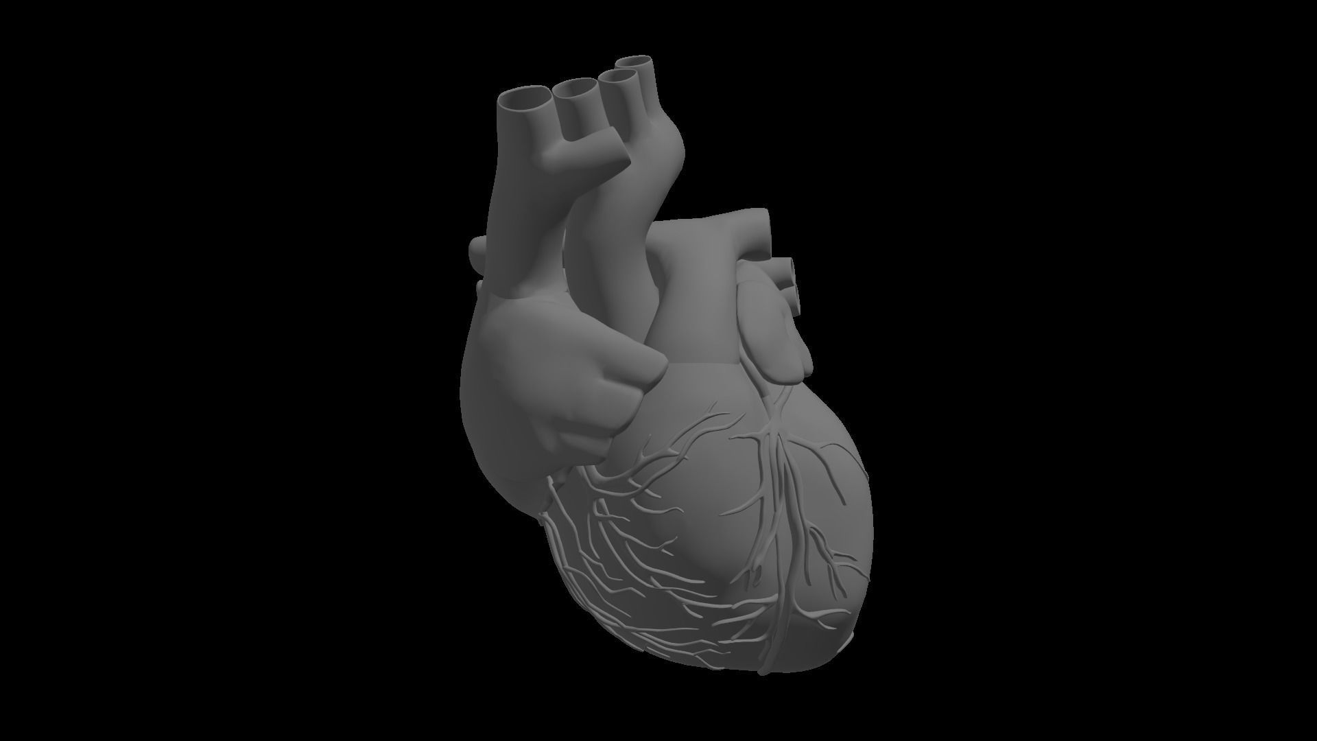 Realistic Human Heart 3D model_5