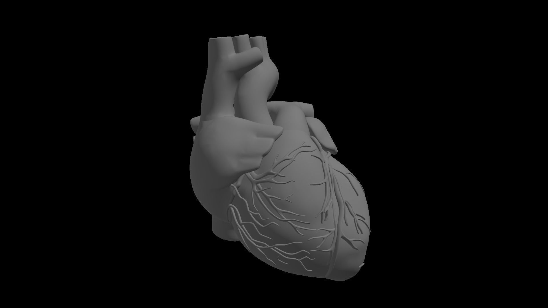 Realistic Human Heart 3D model_6