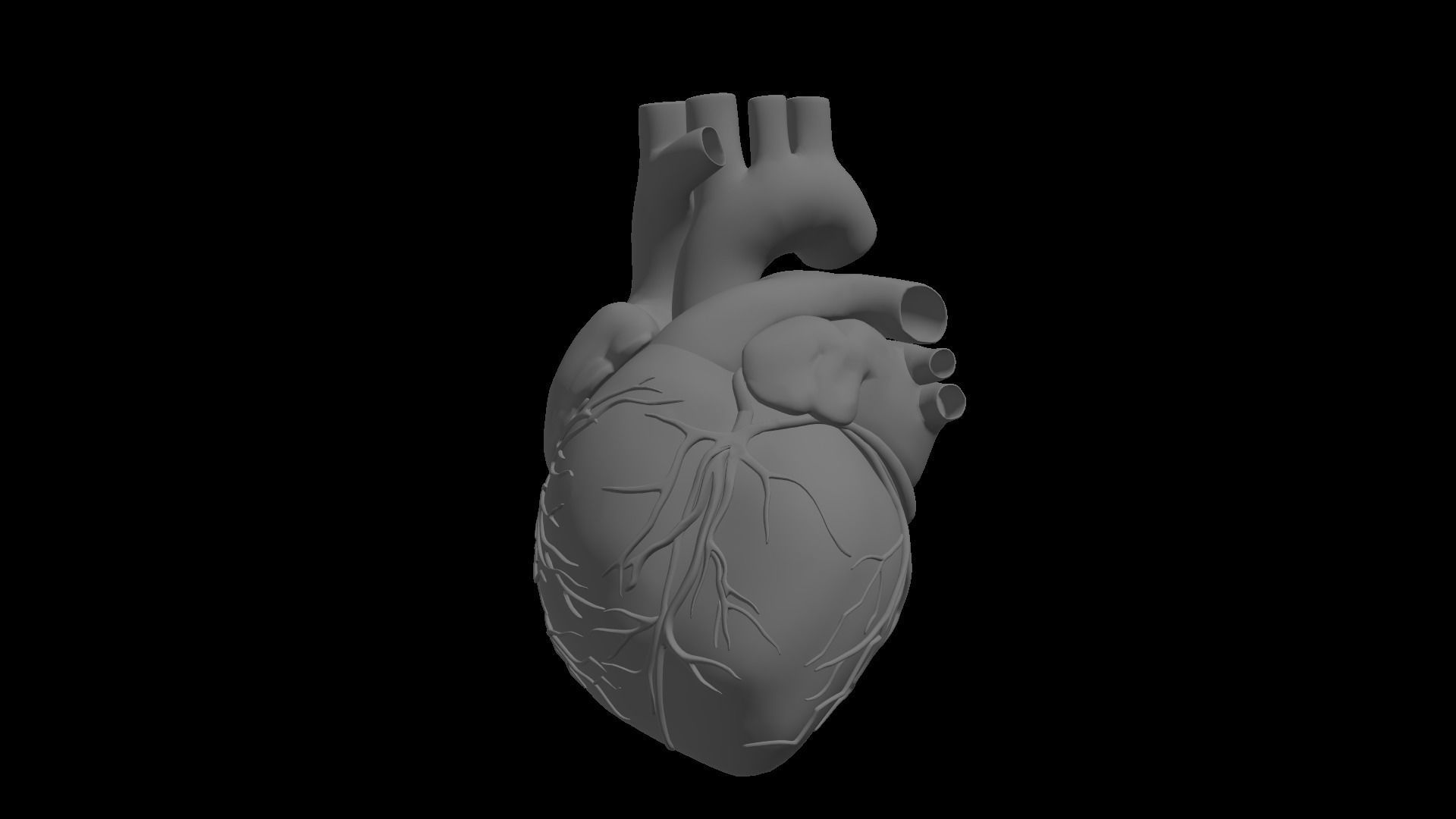 Realistic Human Heart 3D model_2