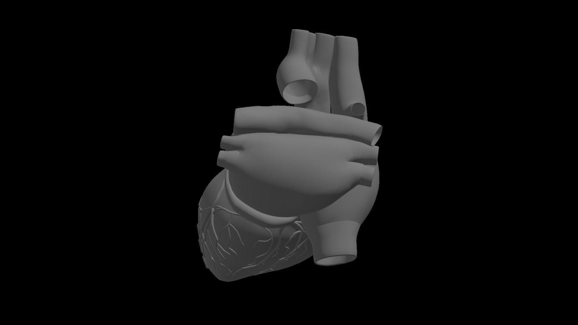 Realistic Human Heart 3D model_3