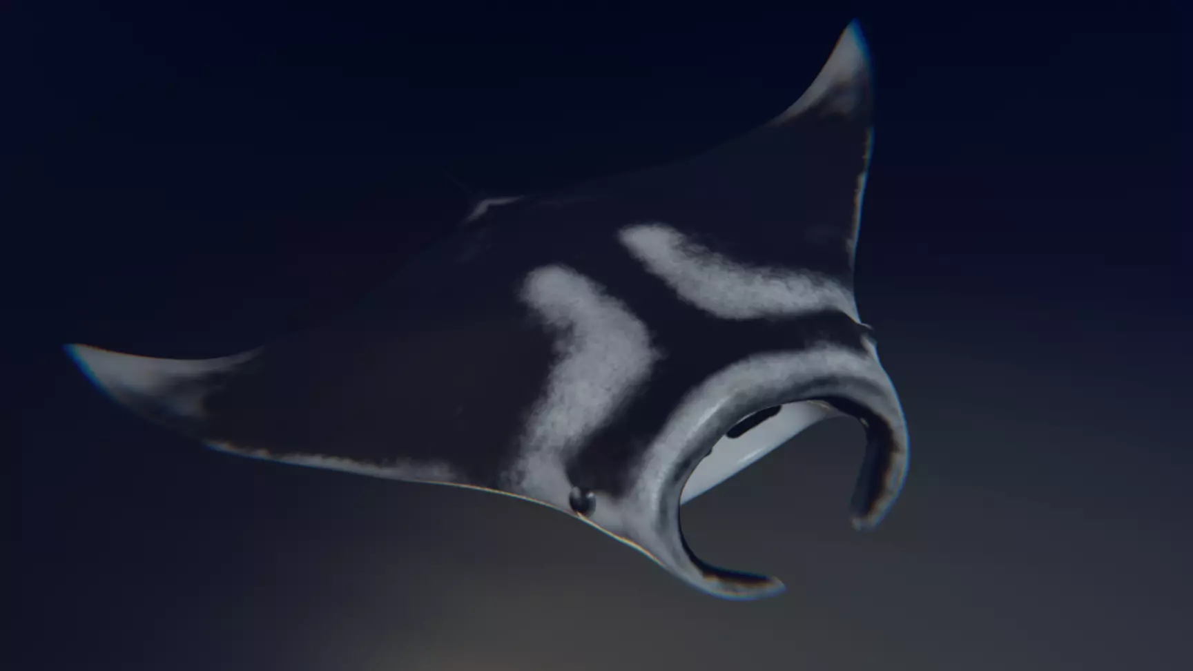 Realistic Giant Manta Ray - Mobula birostris 3D model_0