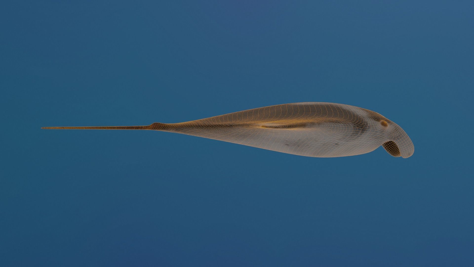 Realistic Giant Manta Ray - Mobula birostris 3D model_4