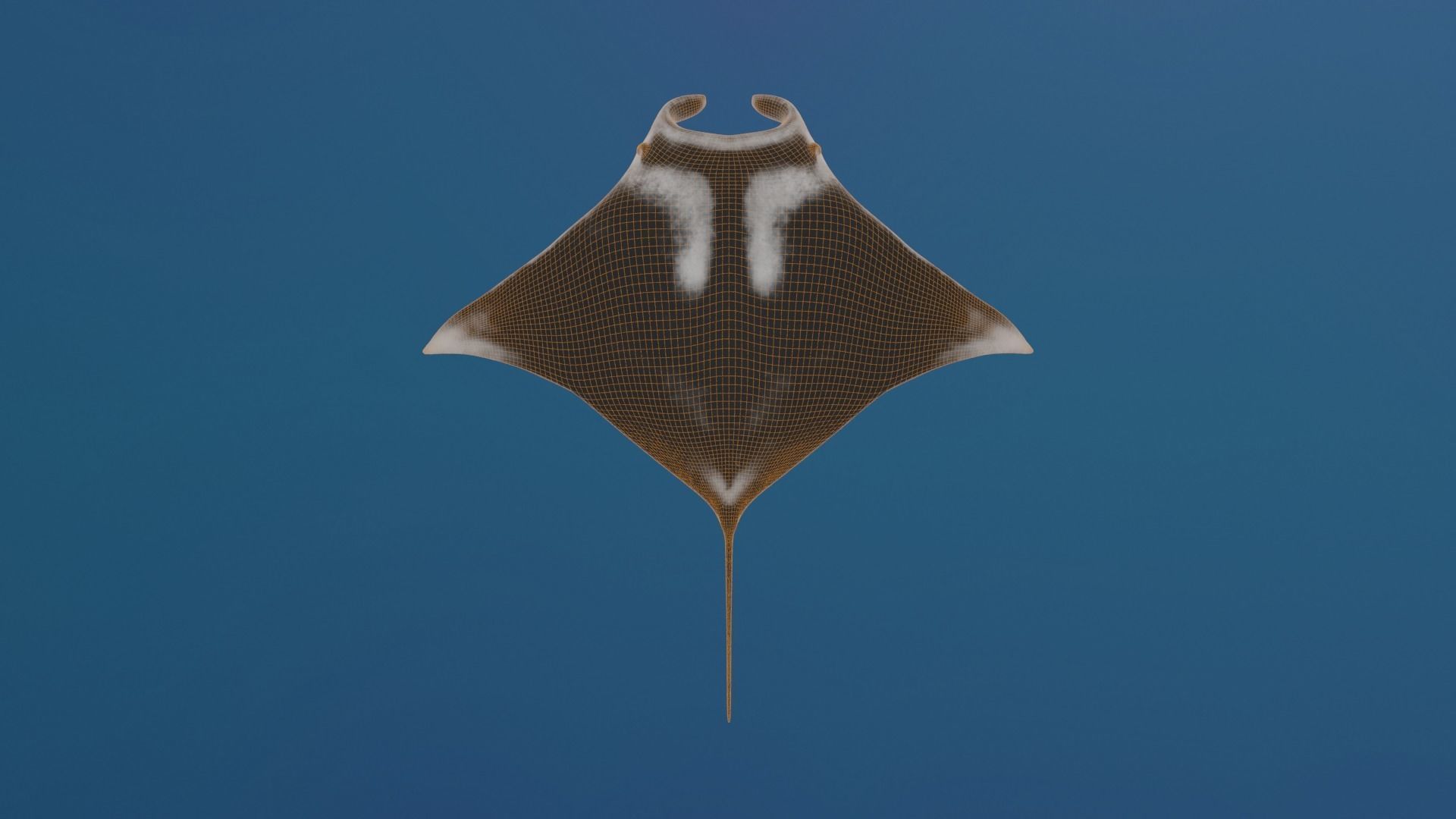 Realistic Giant Manta Ray - Mobula birostris 3D model_5