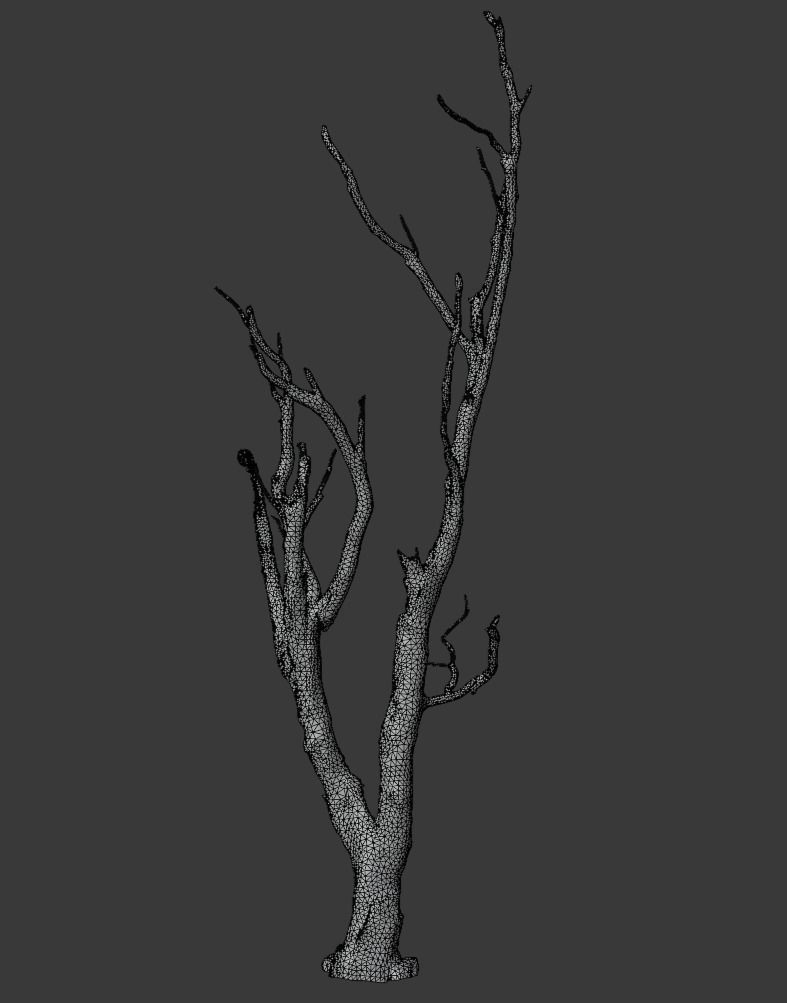 Old Tree Low-poly 3D model_1