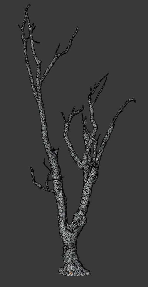 Old Tree Low-poly 3D model_3