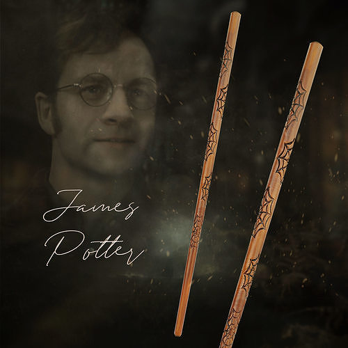 James Potter Wand - Harry Potter 3D print model