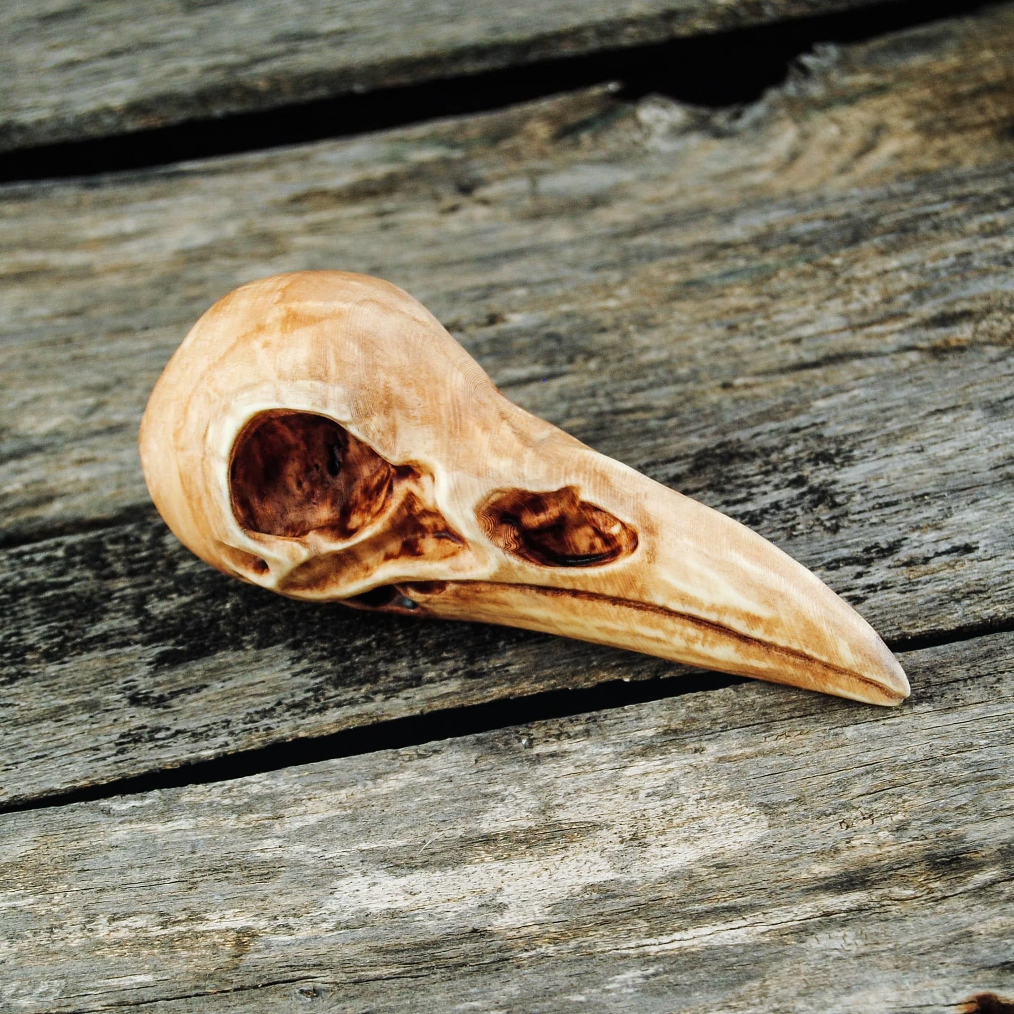 Raven Skull 3D print model_1