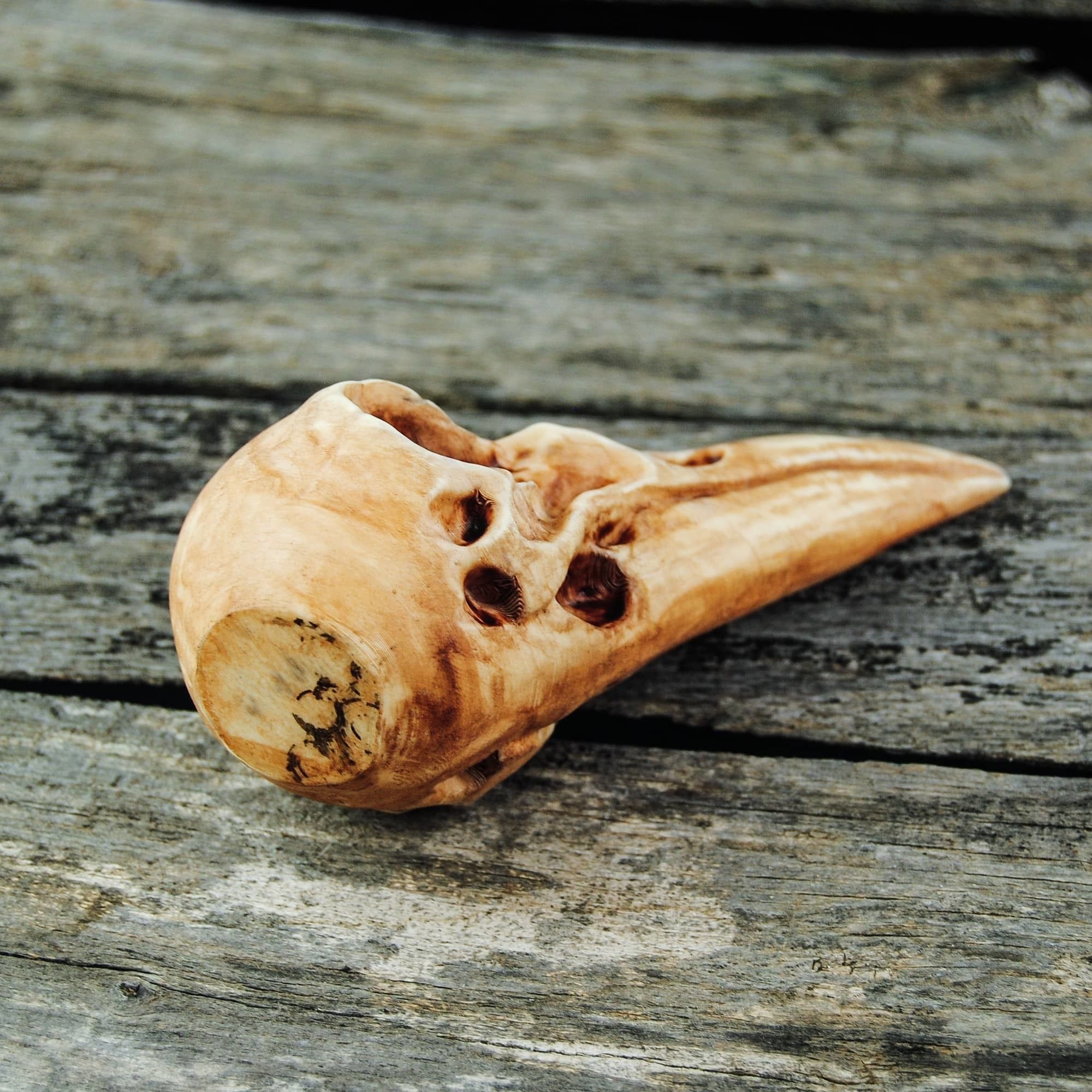 Raven Skull 3D print model_17