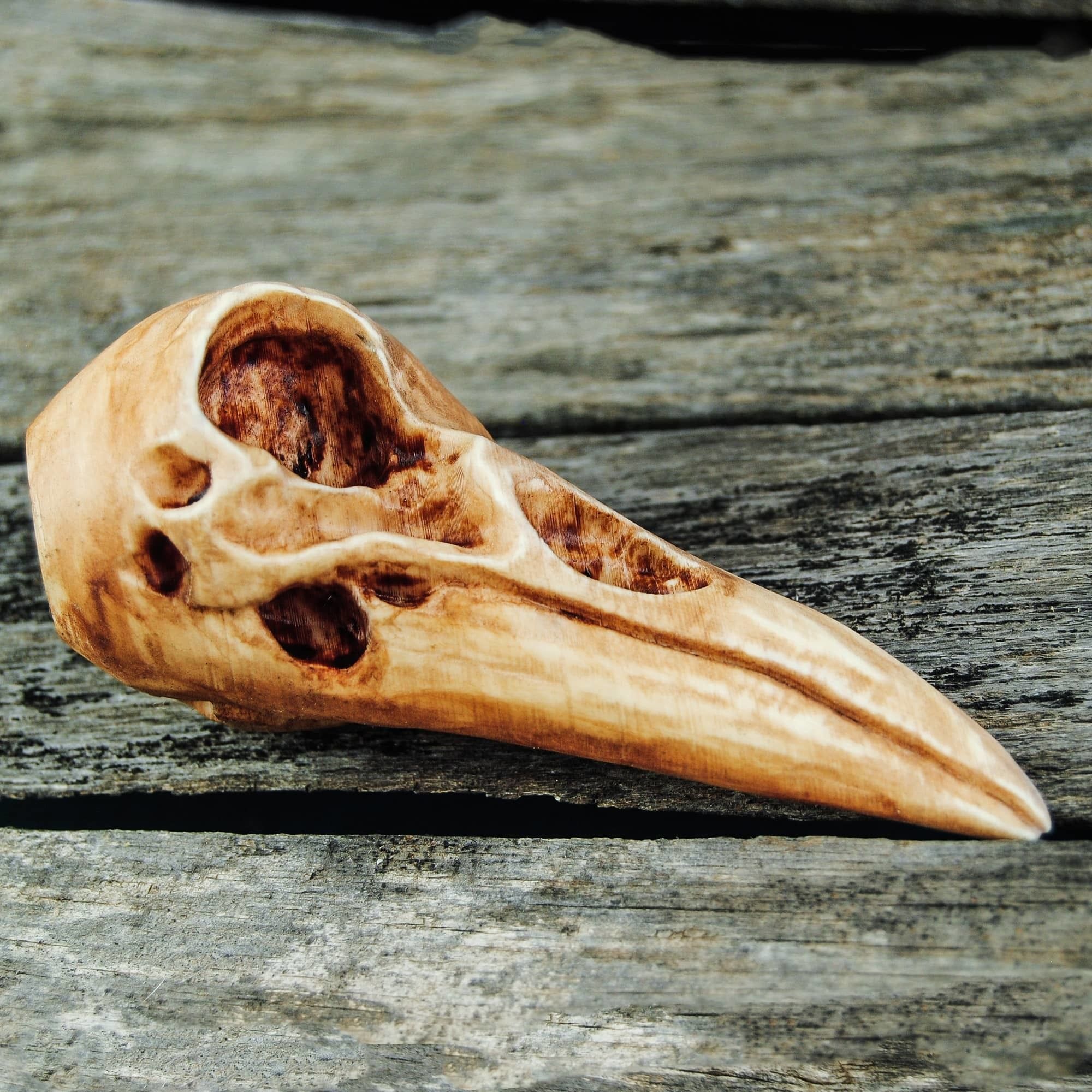 Raven Skull 3D print model_16