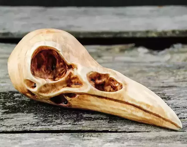 Raven Skull 3D print model