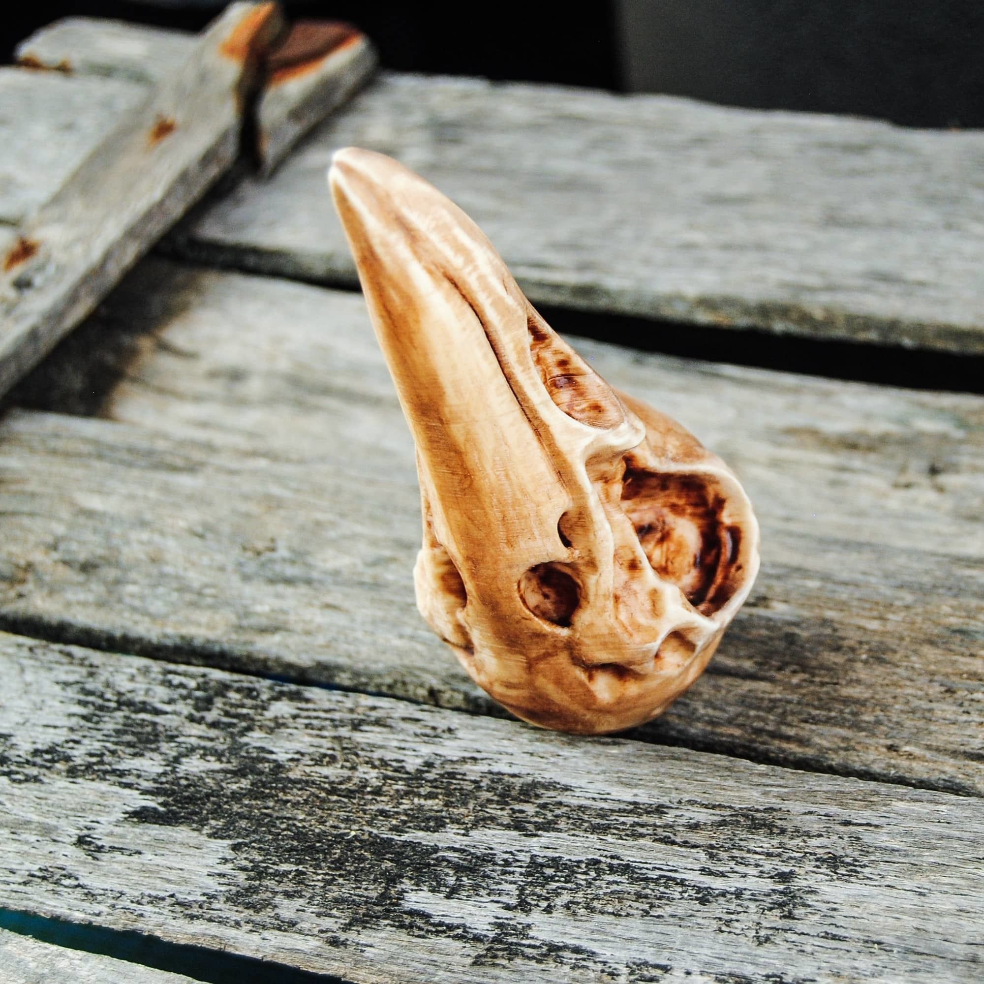 Raven Skull 3D print model_11