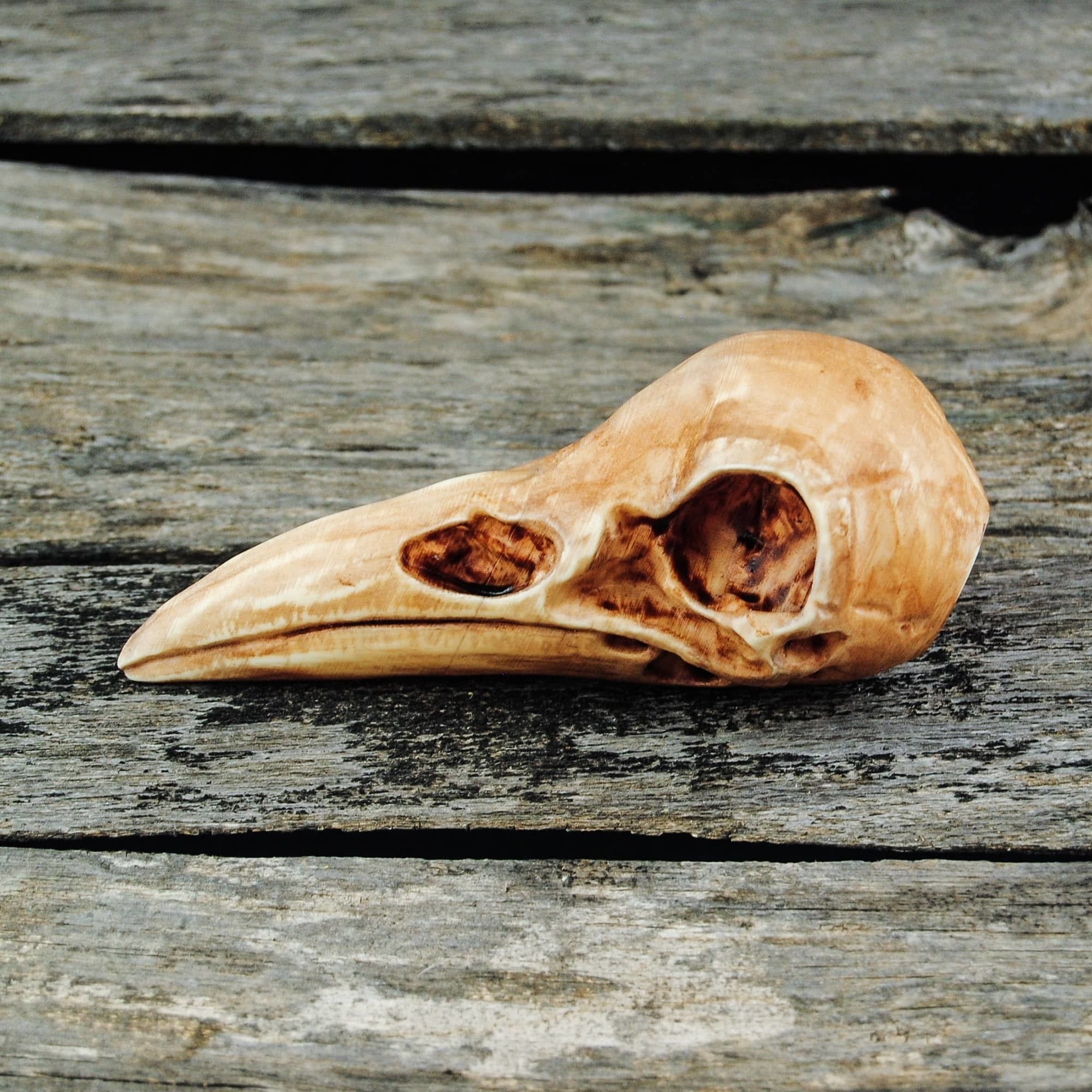 Raven Skull 3D print model_6