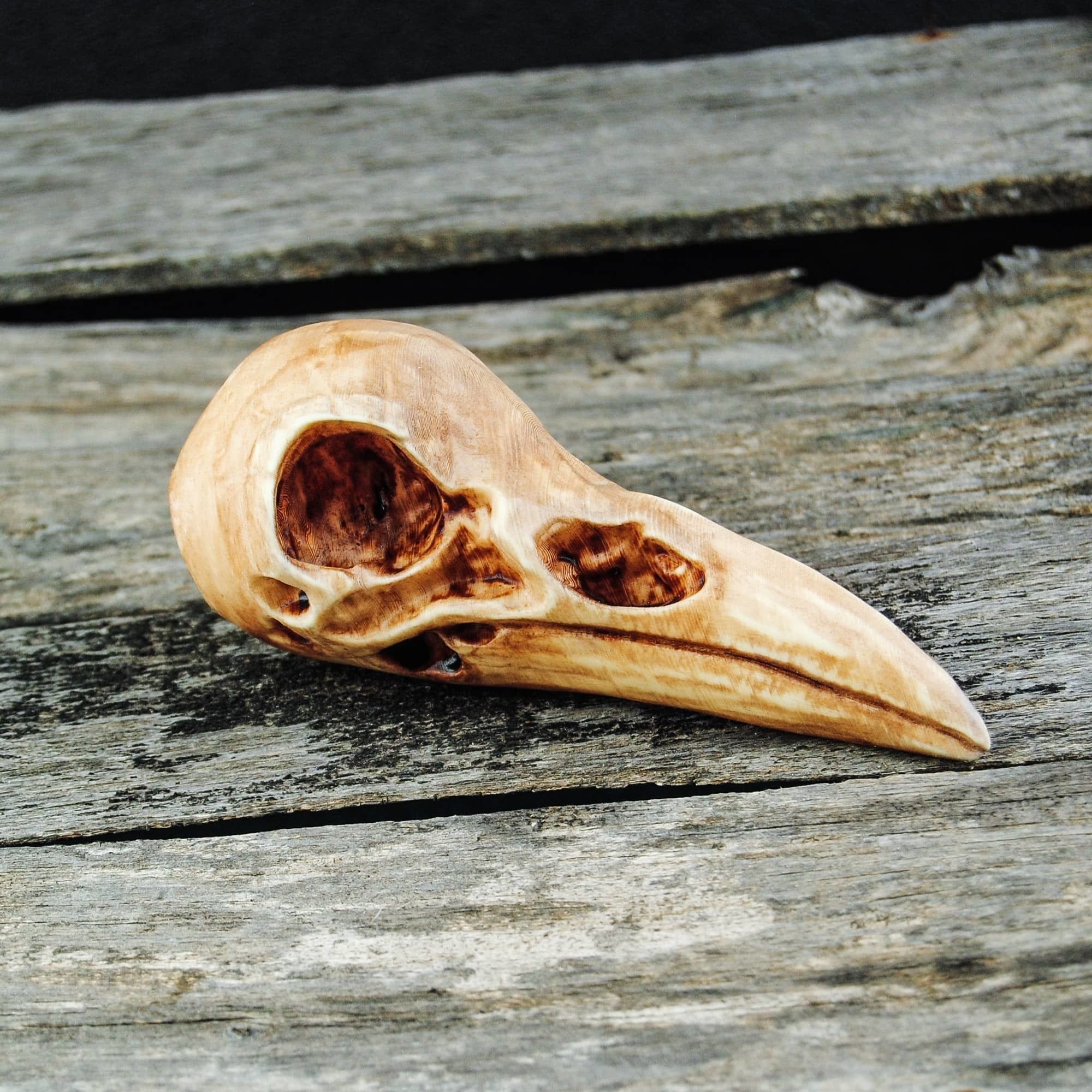 Raven Skull 3D print model_15