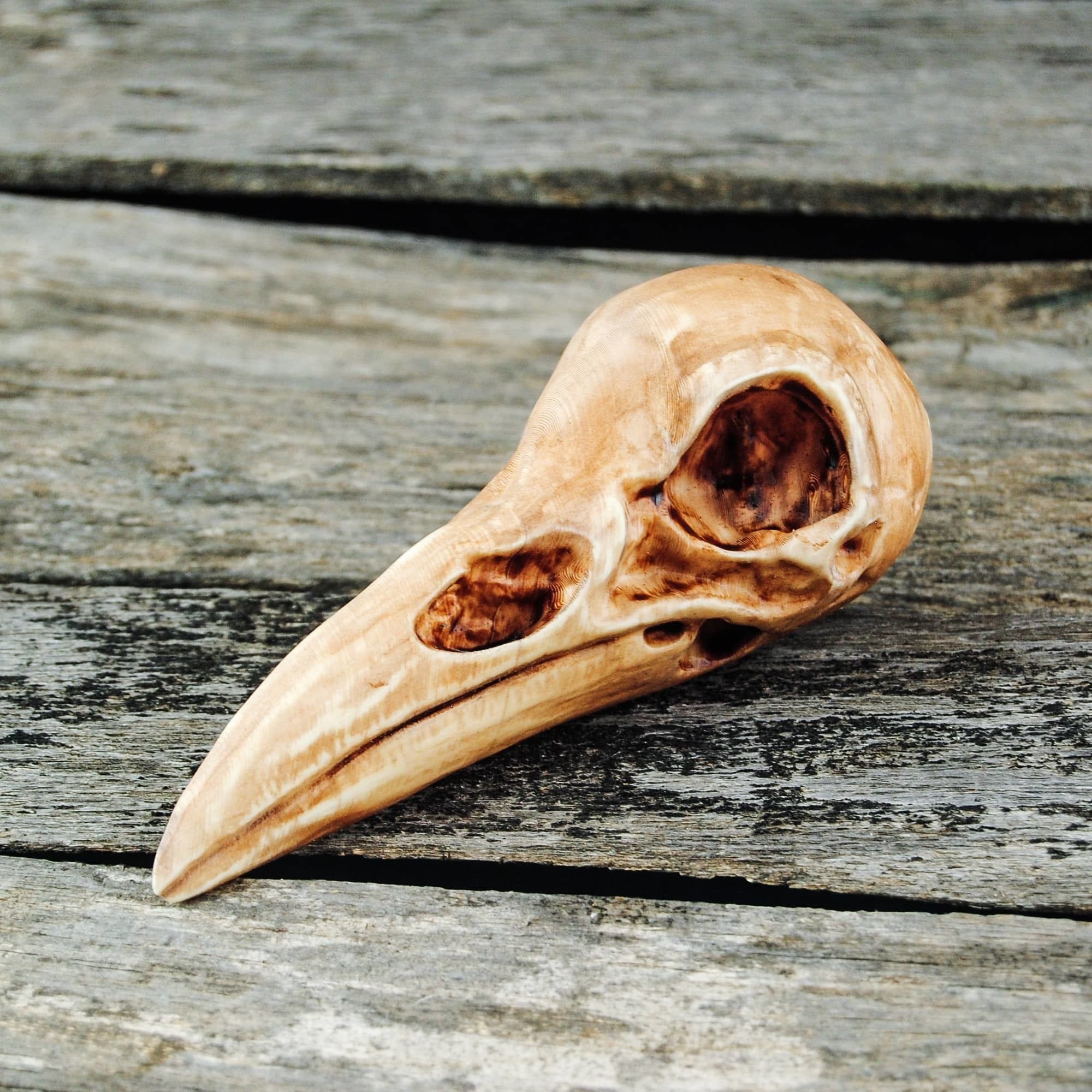 Raven Skull 3D print model_3
