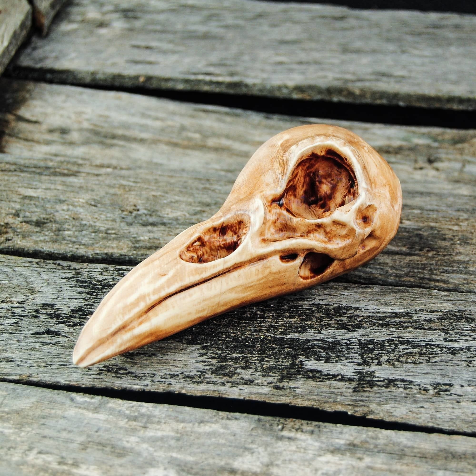 Raven Skull 3D print model_12