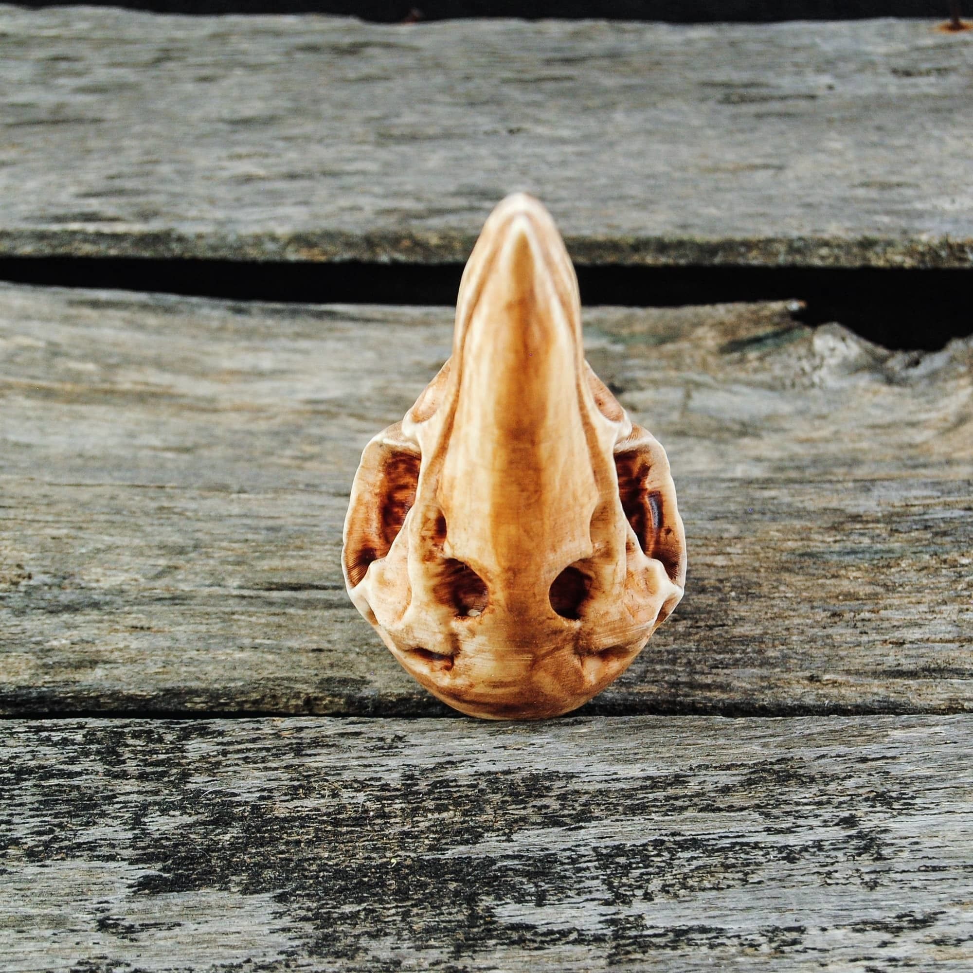 Raven Skull 3D print model_8