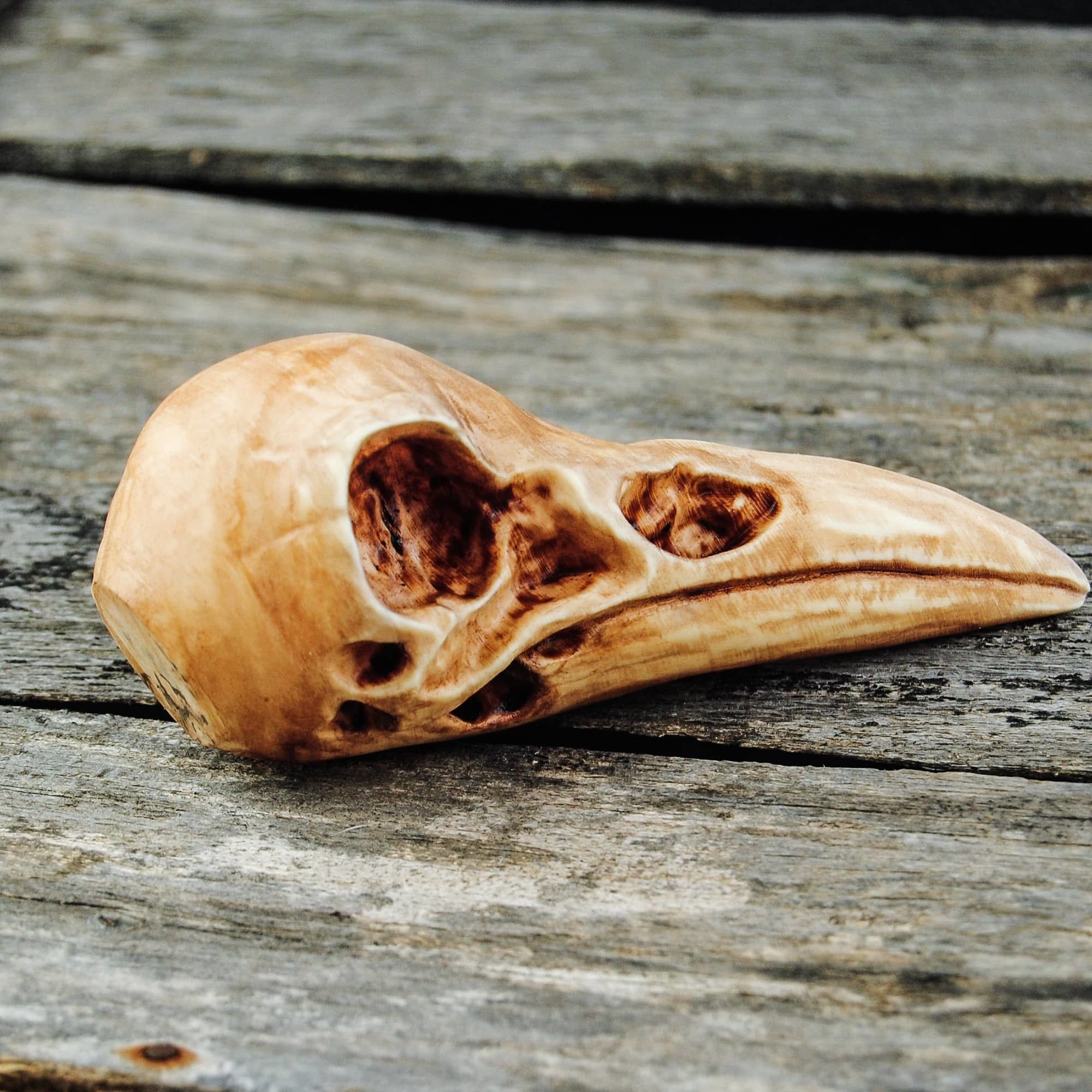 Raven Skull 3D print model_2