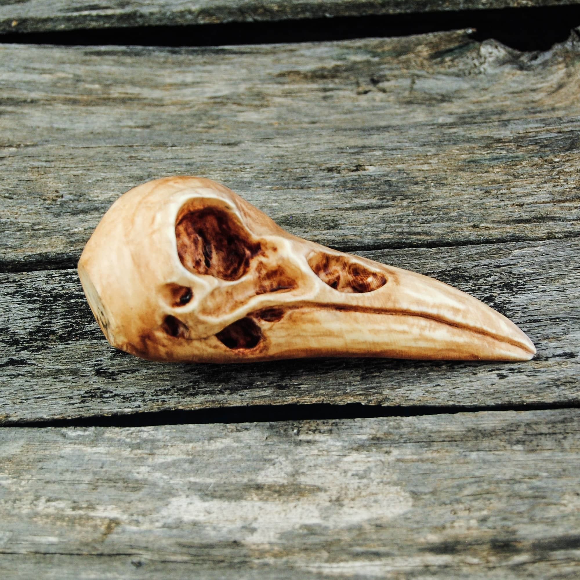 Raven Skull 3D print model_9