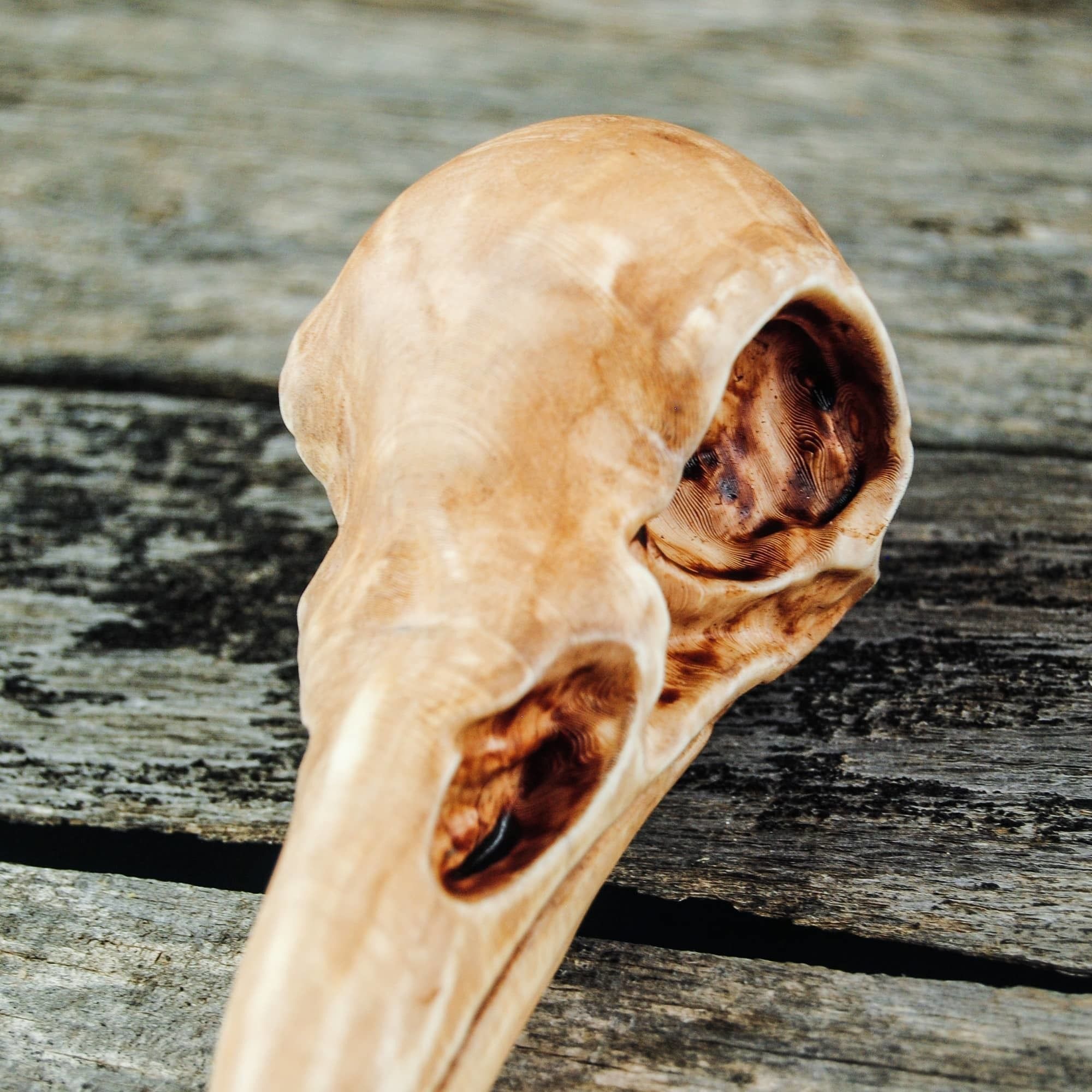 Raven Skull 3D print model_18