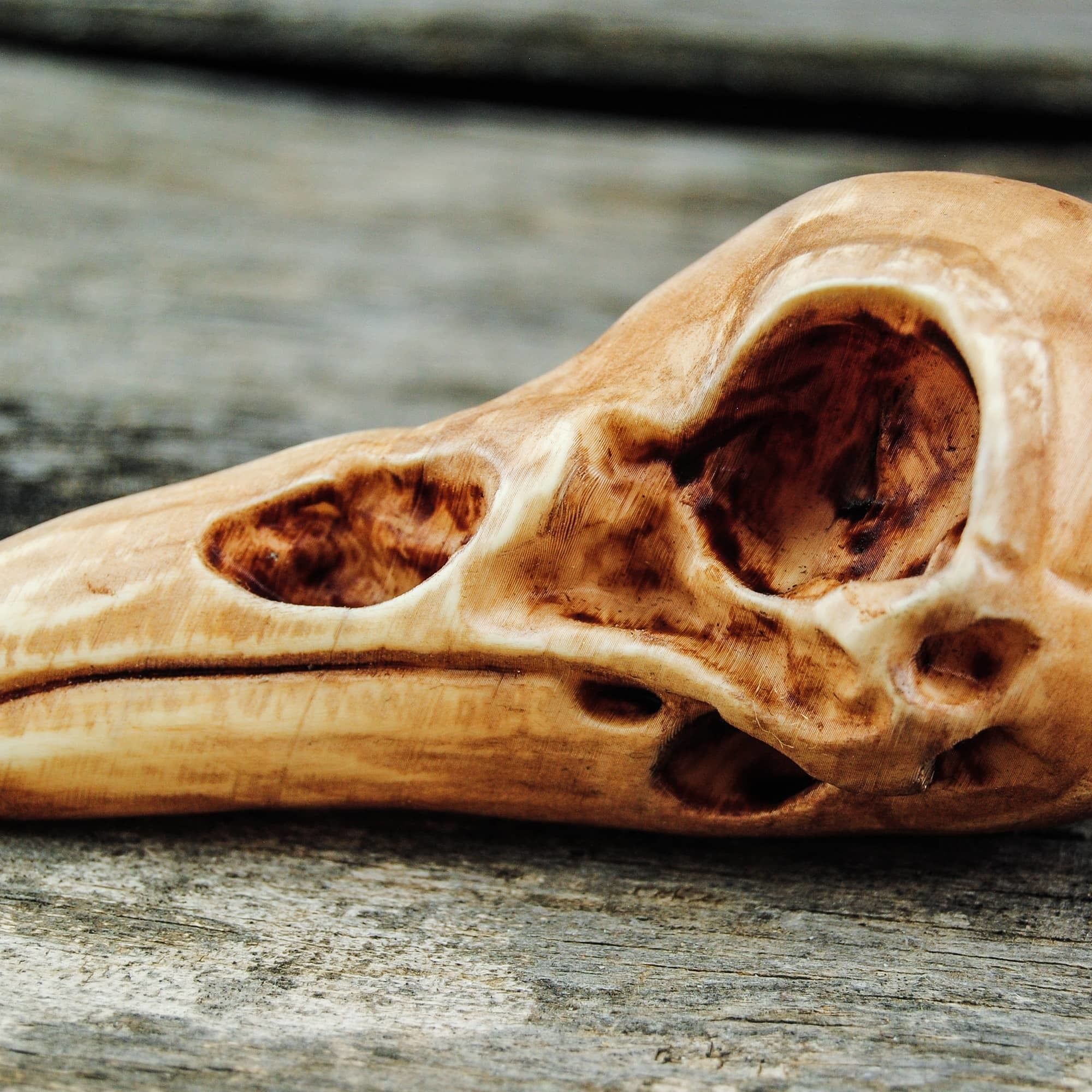 Raven Skull 3D print model_10