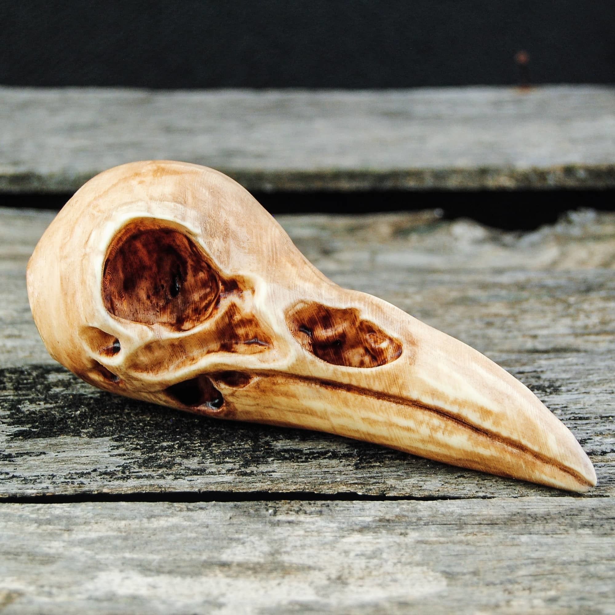 Raven Skull 3D print model_20