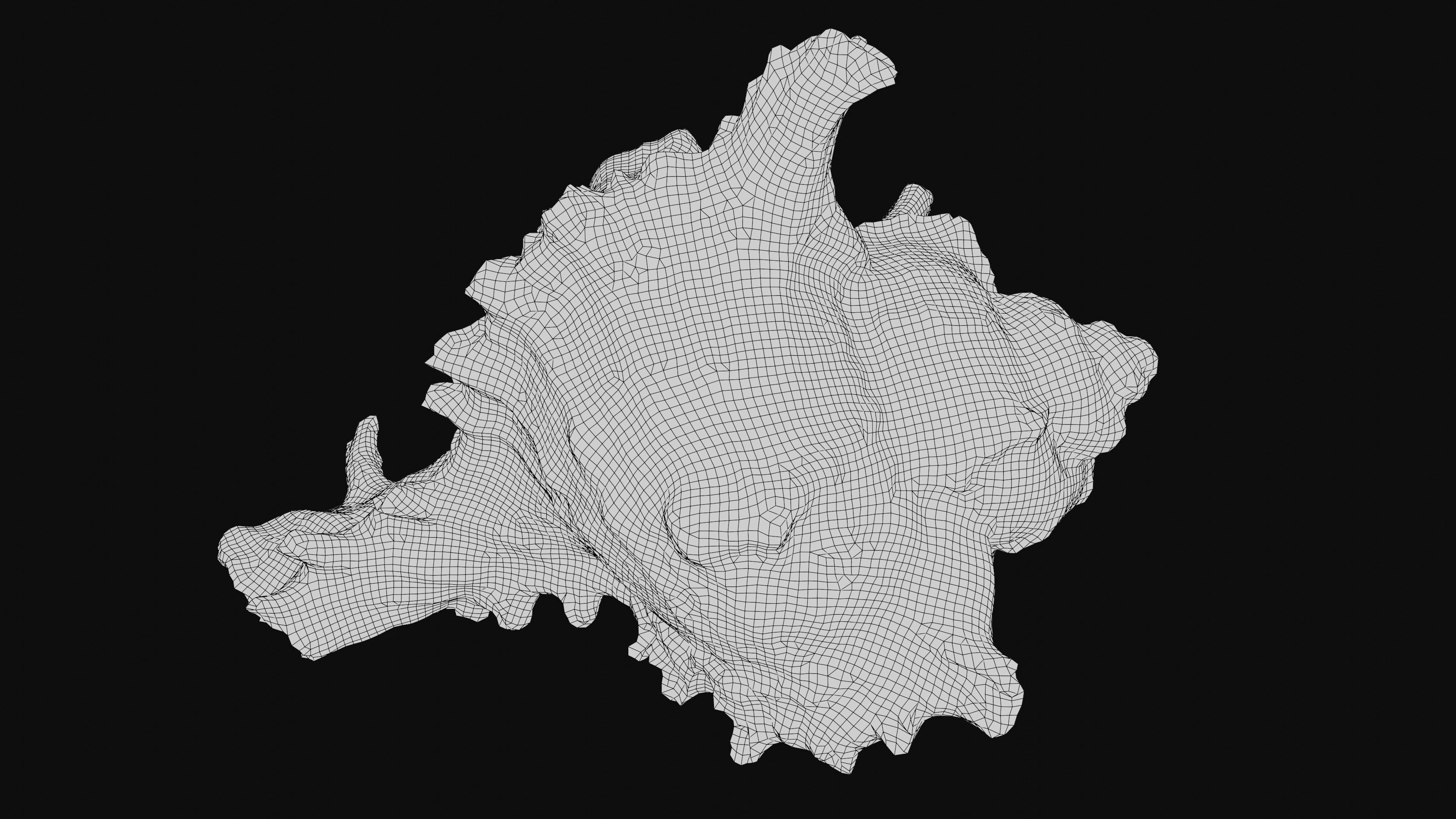 Murex Sea Shell Low-poly 3D model_22