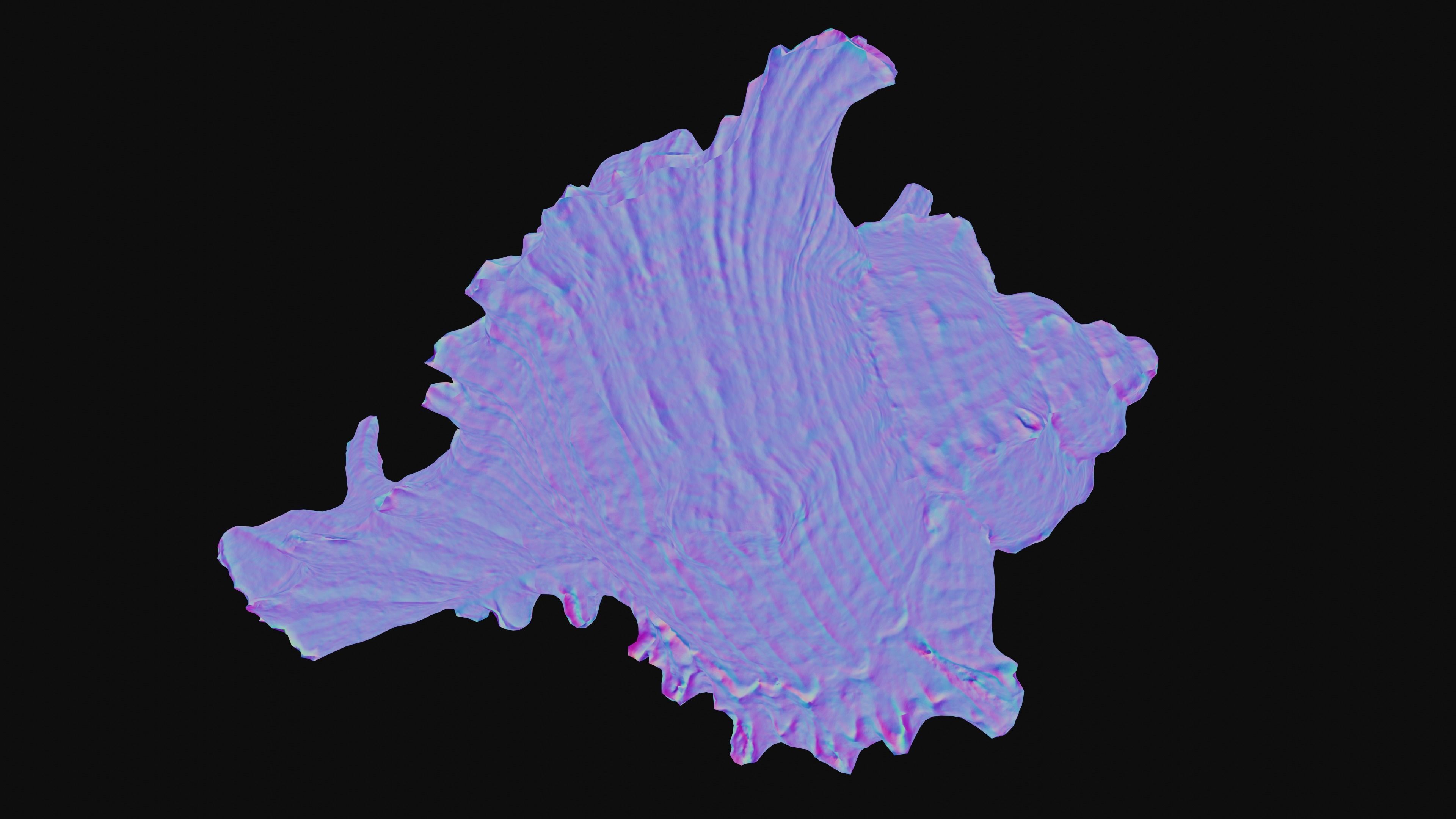 Murex Sea Shell Low-poly 3D model_27