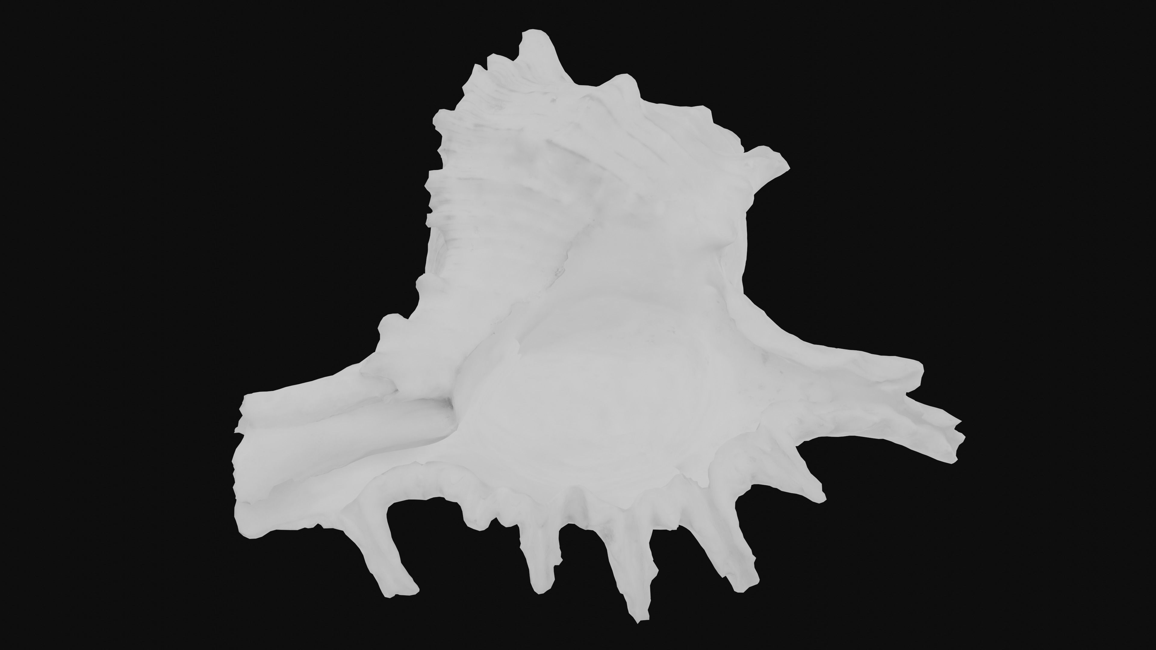 Murex Sea Shell Low-poly 3D model_37
