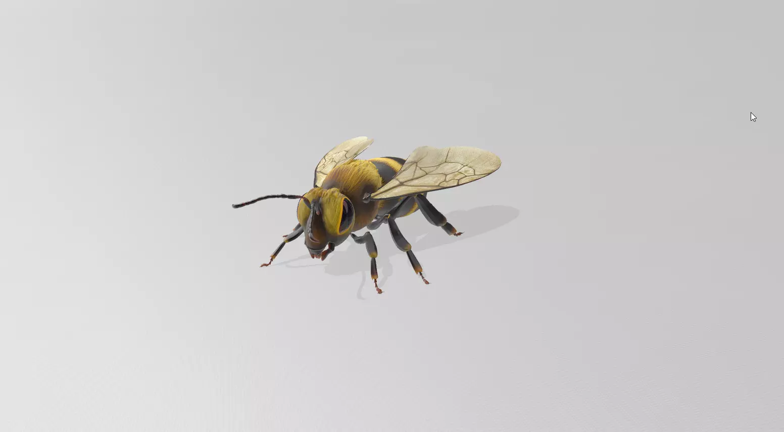 Bee STL 3D print model