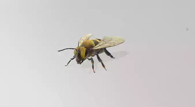 Bee STL 3D print model