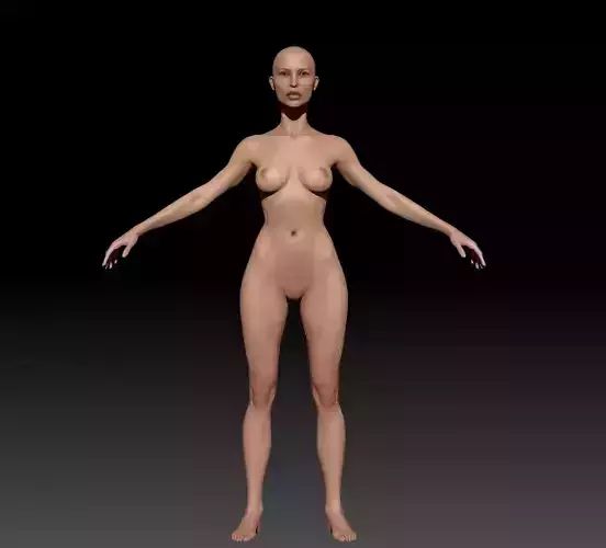 Woman Body- Complete Zbrush project and Ztool 3D model