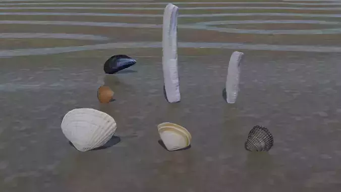 Beach shells 3D model