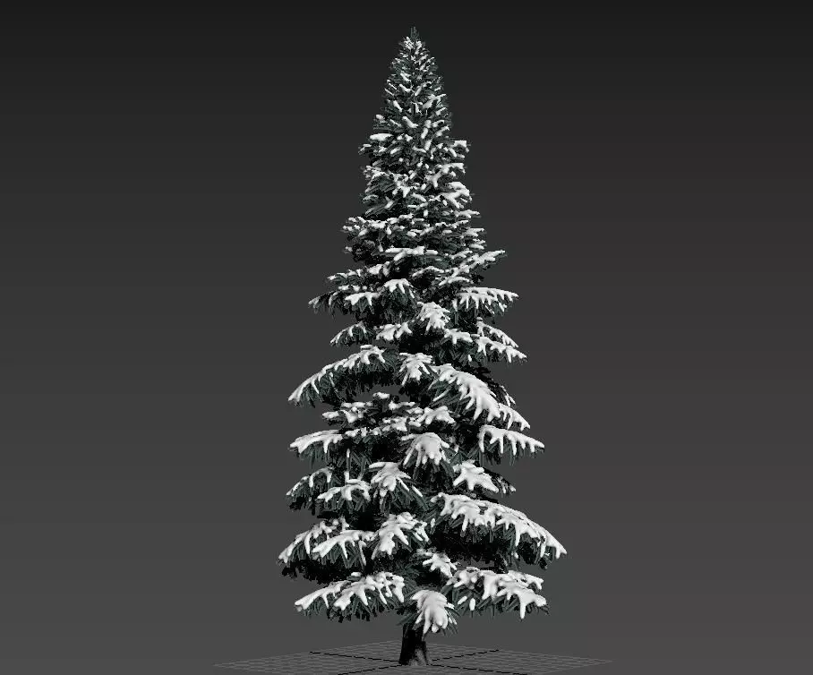 tree1 pine tree with snow Free 3D model