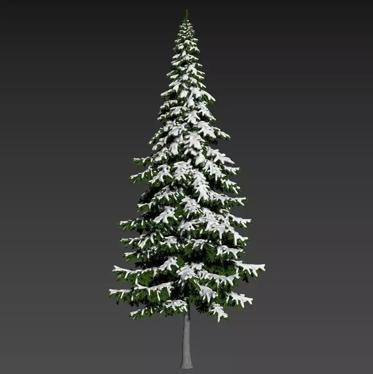 tree2 pine tree with snow Free 3D model