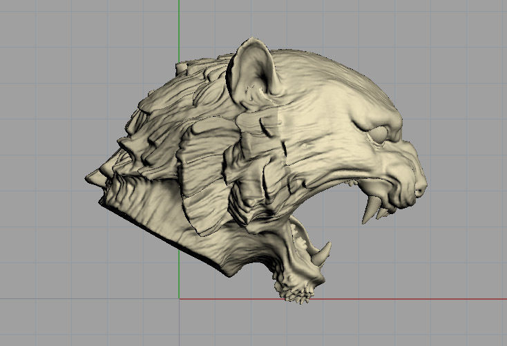 Tiger head 3D model_4