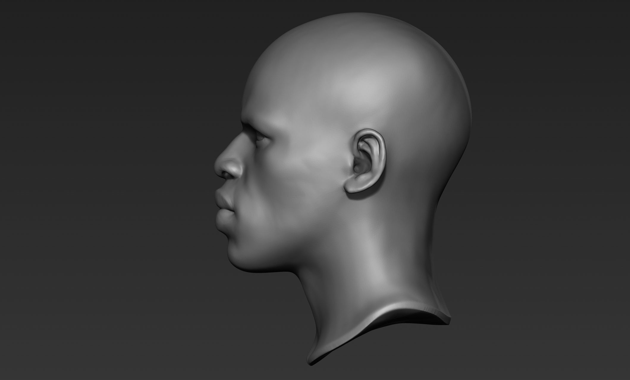 Black Man Head Sculpts 3D model_11