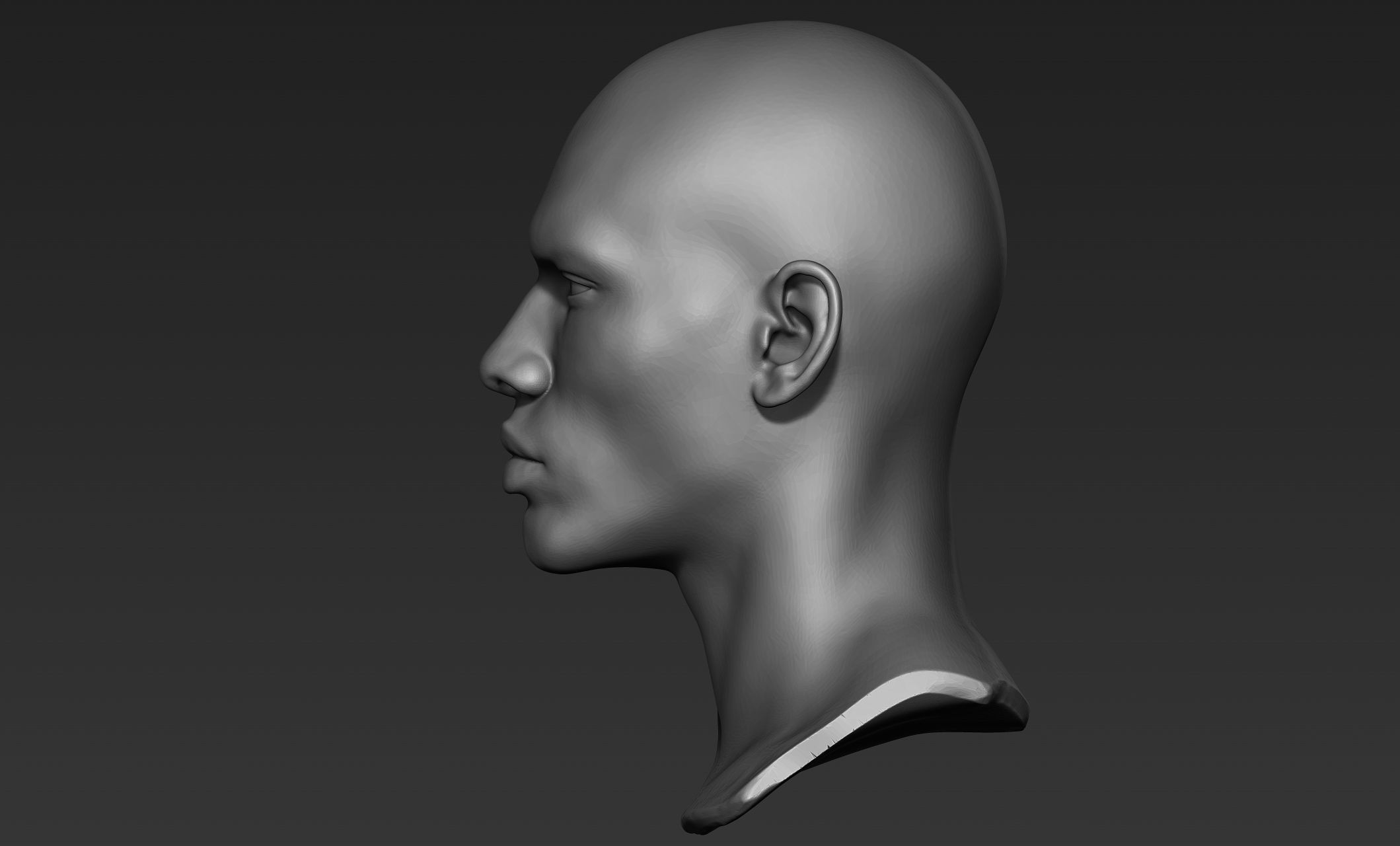 Black Man Head Sculpts 3D model_3